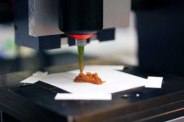 Производство искусственного мяса на 3D принтерах начнется в 2021 году